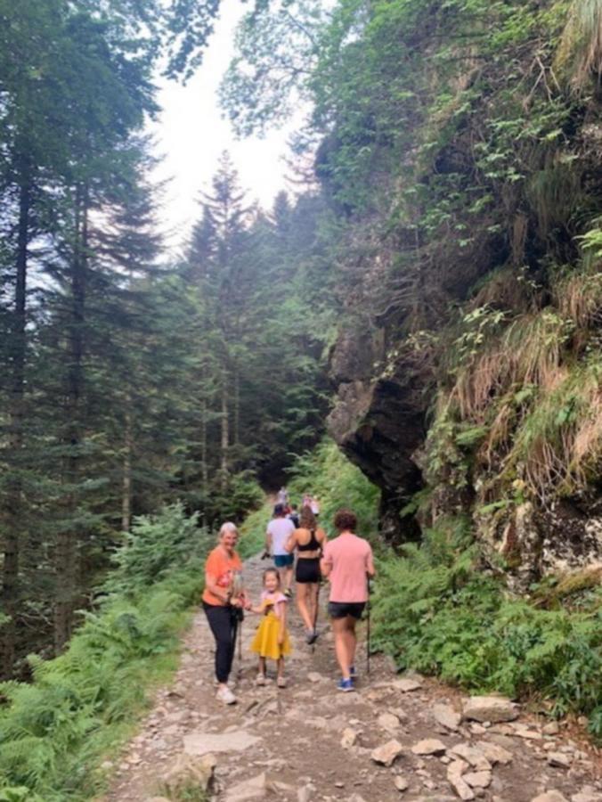 Appartement Tres Agreable Dans Belle Residence, Classe 3 Etoiles Par Le Comite Departementale Du Tourisme En Haute Garonne Bagneres-de-Luchon Екстер'єр фото