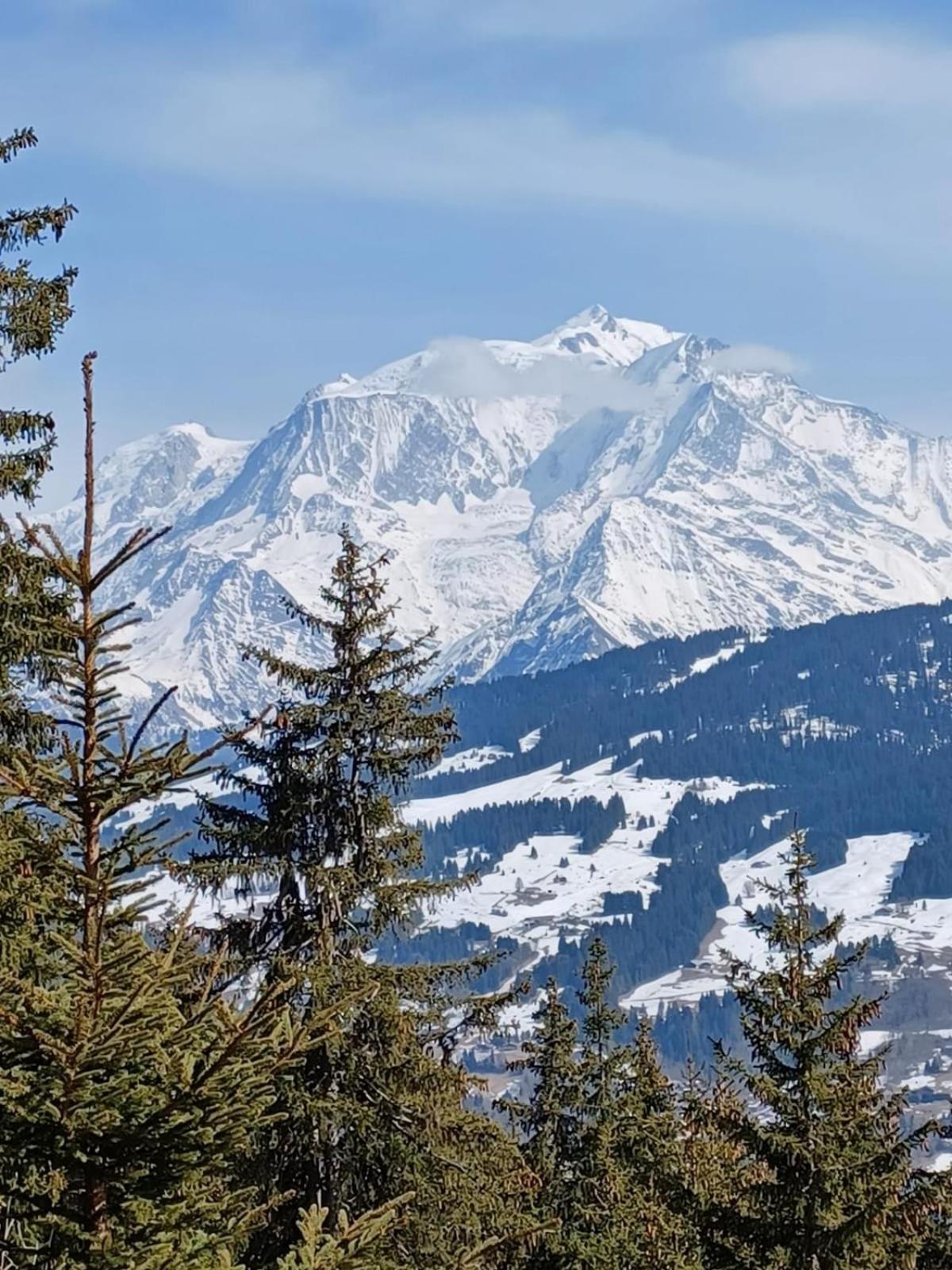 Appartement Tres Agreable Dans Belle Residence, Classe 3 Etoiles Par Le Comite Departementale Du Tourisme En Haute Garonne Bagneres-de-Luchon Екстер'єр фото